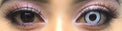 Coscon Crazy with Power - Zombie White (1 lens/pack)-Crazy Contacts-UNIQSO EU