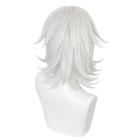 Cosplay Wig - CS 486B-Cosplay Wig-UNIQSO EU