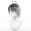 Cosplay Wig - CS 625C-Cosplay Wig-UNIQSO EU