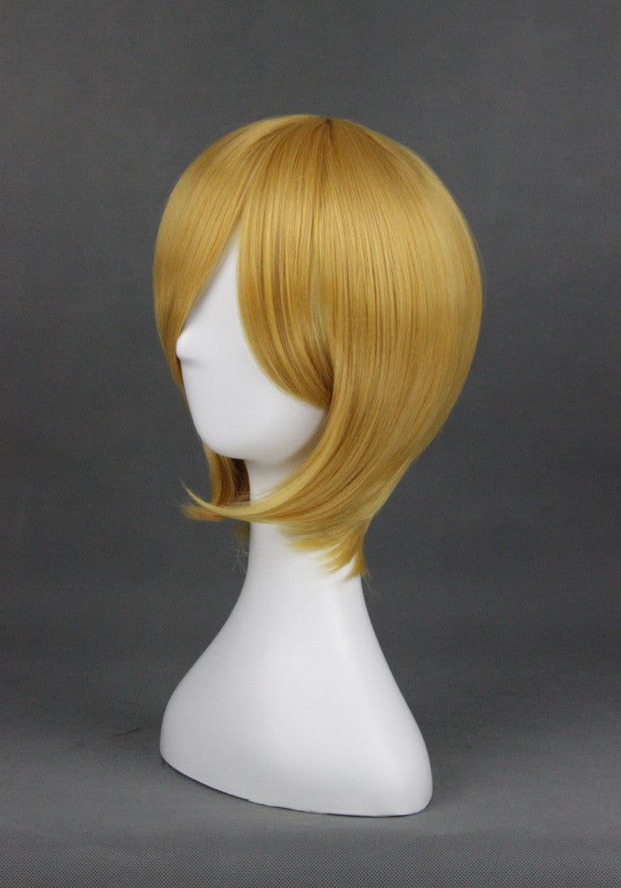 Cosplay Wig - cs 075G-Cosplay Wig-UNIQSO EU