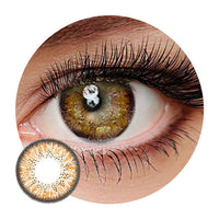 Dueba Toric - BT Brown (1 lens/pack)-Colored Contacts-UNIQSO EU