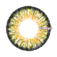 Dueba Toric KH2 Pure Hazel (1 lens/pack)-Colored Contacts-UNIQSO EU