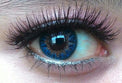 Flash Fairy Alice Blue (2 lenses/pack)-Colored Contacts-UNIQSO EU