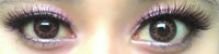 Flash Fairy Bella Hazel (2 lenses/pack)-Colored Contacts-UNIQSO EU