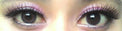 Flash Fairy Elves Grey (2 lenses/pack)-Colored Contacts-UNIQSO EU