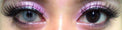 Flash VeniCol Lilia Grey (2 lenses/pack)-Colored Contacts-UNIQSO EU