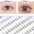 Foxy Sunny Cluster Natural Eyelashes-Fake Eyelash-UNIQSO EU
