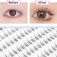 Foxy Sunny Cluster Natural Eyelashes-Fake Eyelash-UNIQSO EU