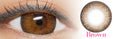 I-Codi Chou Cream Brown (1 lens/pack)-Colored Contacts-UNIQSO EU