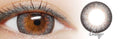I-Codi Chou Cream Grey (1 lens/pack)-Colored Contacts-UNIQSO EU