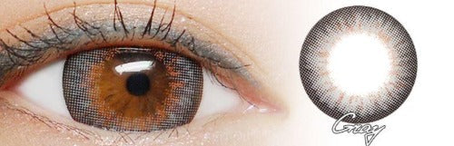 I-Codi Chou Cream Grey (1 lens/pack)-Colored Contacts-UNIQSO EU
