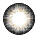 I-Codi Chou Cream Grey (1 lens/pack)-Colored Contacts-UNIQSO EU