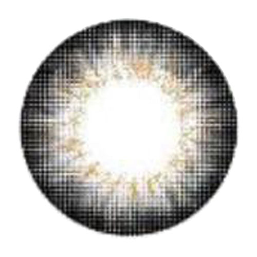 I-Codi Chou Cream Grey (1 lens/pack)-Colored Contacts-UNIQSO EU
