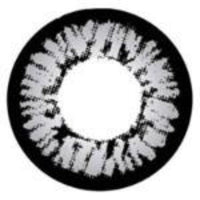 I-Codi Naty IC2 10 Grey (1 lens/pack)-Colored Contacts-UNIQSO EU