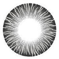I-Codi RF Grey (1 lens/pack)-Colored Contacts-UNIQSO EU