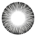 I-Codi RF Grey (1 lens/pack)-Colored Contacts-UNIQSO EU