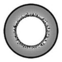 Western Eyes Amazed Doll Grey (1 lens/pack)-Colored Contacts-UNIQSO