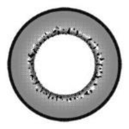 Western Eyes Amazed Doll Grey (1 lens/pack)-Colored Contacts-UNIQSO