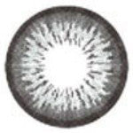 ICK Garnet Grey (1 lens/pack)-Colored Contacts-UNIQSO EU