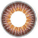 ICK Shower Brown (1 lens/pack)-Colored Contacts-UNIQSO EU