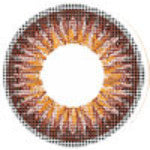 ICK Shower Brown (1 lens/pack)-Colored Contacts-UNIQSO EU