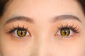 Sweety Crazy Gold Demon Eye / Cat Eye (New) (1 lens/pack)-Crazy Contacts-UNIQSO