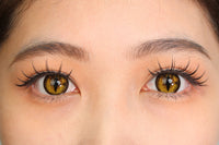 Sweety Crazy Gold Demon Eye / Cat Eye (New) (1 lens/pack)-Crazy Contacts-UNIQSO