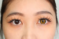 Sweety Crazy Gold Demon Eye / Cat Eye (New) (1 lens/pack)-Crazy Contacts-UNIQSO