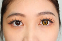Sweety Crazy Gold Demon Eye / Cat Eye (New) (1 lens/pack)-Crazy Contacts-UNIQSO