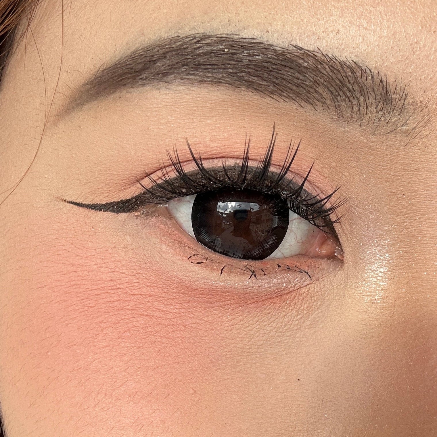 Sweety Circle Black (1 lens/pack)-Colored Contacts-UNIQSO EU
