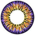 I.Fairy Casper Brown (1 lens/pack)-Colored Contacts-UNIQSO EU