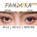 I.Fairy Pandora Violet colored contacts
