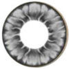 I.Fairy Tofi Grey (1 lens/pack)-Colored Contacts-UNIQSO EU
