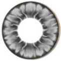 I.Fairy Tofi Grey (1 lens/pack)-Colored Contacts-UNIQSO EU