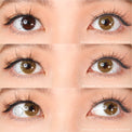 Kazzue Basic Pure Brown (1 lens/pack)-Colored Contacts-UNIQSO EU