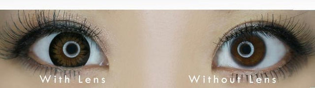 Kazzue Classic Brown (1 lens/pack)-Colored Contacts-UNIQSO EU
