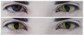 Kazzue Crazy Lens with Power - Cat Eyes (1 lens/pack)-Crazy Contacts-UNIQSO EU