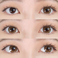 Kazzue Premier Brown (1 lens/pack)-Colored Contacts-UNIQSO EU