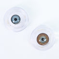Kazzue Premier Brown (1 lens/pack)-Colored Contacts-UNIQSO EU