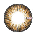 Kazzue Premier Brown (1 lens/pack)-Colored Contacts-UNIQSO EU