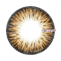 Kazzue Premier Brown (1 lens/pack)-Colored Contacts-UNIQSO EU