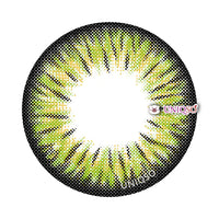 Kazzue Premier Green (1 lens/pack)-Colored Contacts-UNIQSO EU