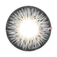Kazzue Premier Grey (1 lens/pack)-Colored Contacts-UNIQSO EU