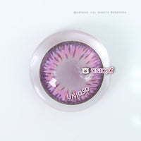 Kazzue Premier Violet (1 lens/pack)-Colored Contacts-UNIQSO EU