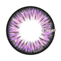 Kazzue Premier Violet (1 lens/pack)-Colored Contacts-UNIQSO EU