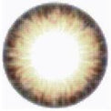 Kazzue Pro Coffee Brown (1 lens/pack)-Colored Contacts-UNIQSO EU