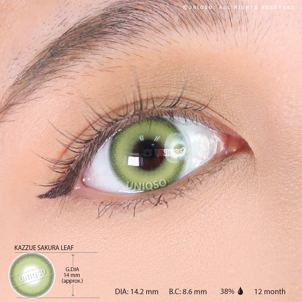 Kazzue Sakura Leaf (1 lens/pack)-Colored Contacts-UNIQSO EU