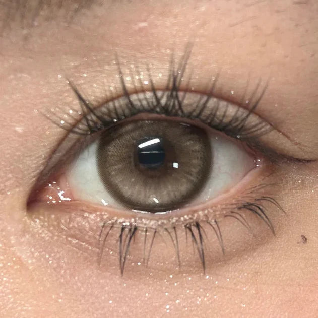 Kazzue Moonveil Timeless Brown (2 lenses/pack)-Colored Contacts-UNIQSO