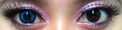 Phantasee BE Beautiful Blue (2 lenses/pack)-Colored Contacts-UNIQSO EU