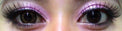 Phantasee BE Charming Brown (2 lenses/pack)-Colored Contacts-UNIQSO EU